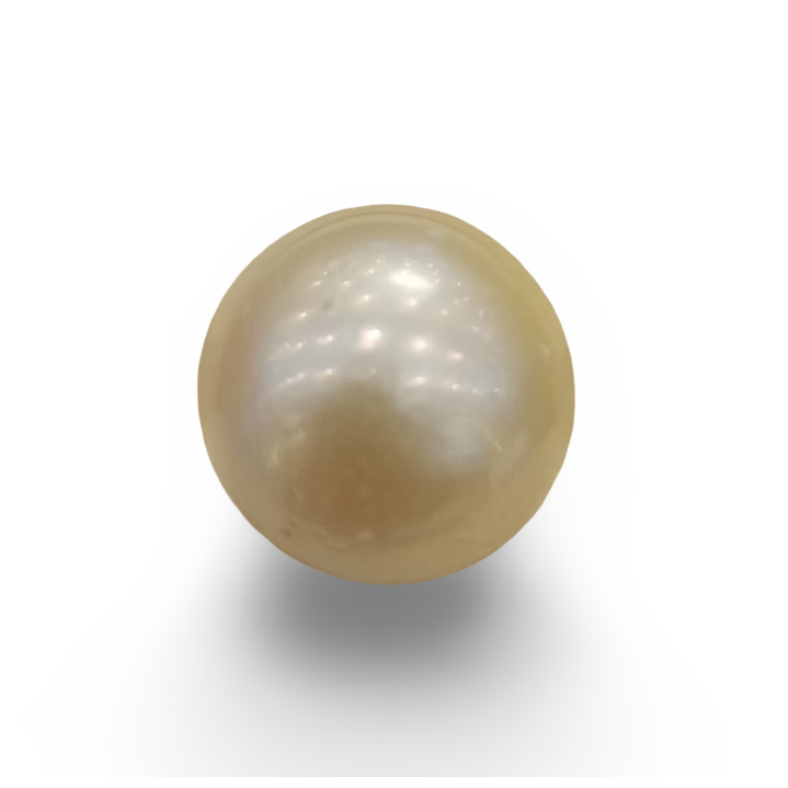 Natural South Sea Pearl – A Symbol of Elegance & Purity Summary No IGCDKBAJ42658