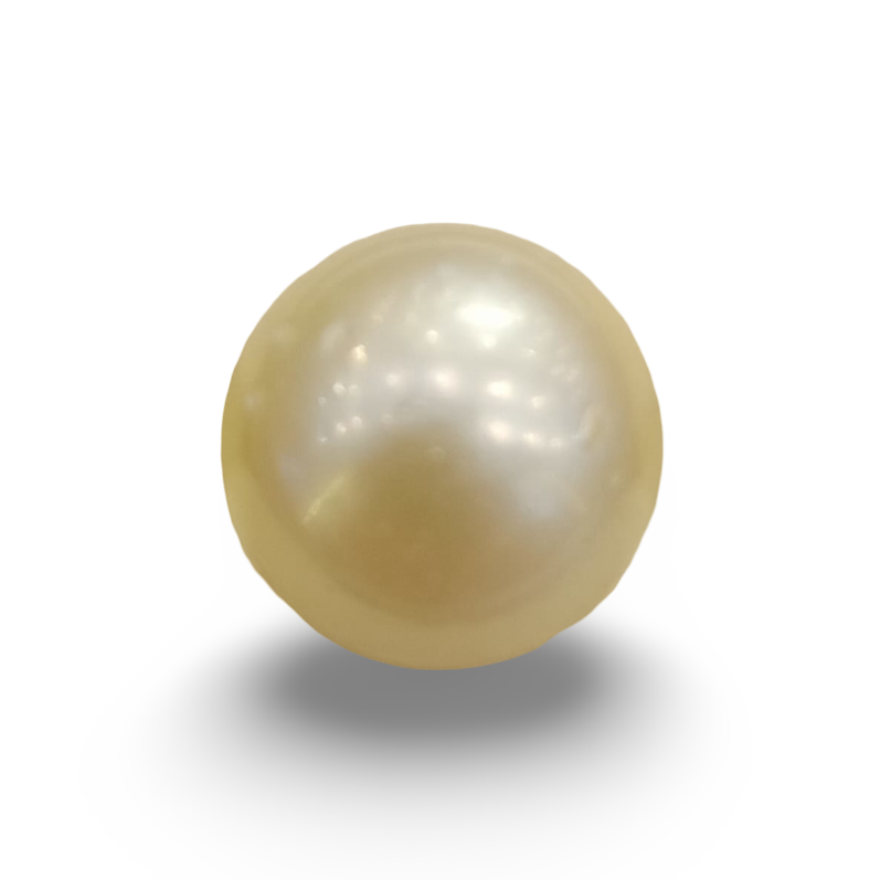 Natural South Sea Pearl – A Symbol of Elegance & Purity Summary No IGCDKBAJ42642