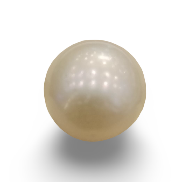 Natural South Sea Pearl – A Symbol of Elegance & Purity Summary No IGCDKBAJ42612