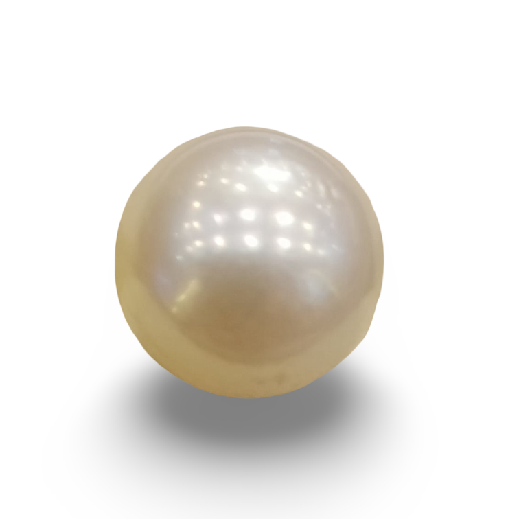 Natural South Sea Pearl – A Symbol of Elegance & Purity Summary No IGCDKBAJ42644