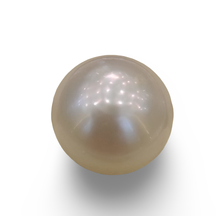Natural South Sea Pearl – A Symbol of Elegance & Purity Summary No IGCDKBAJ42615