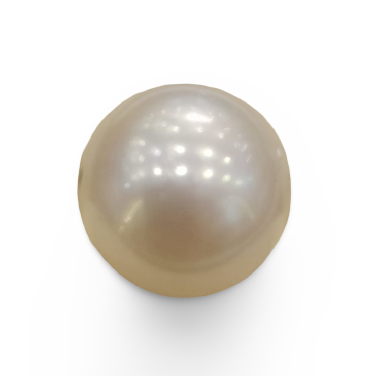 Natural South Sea Pearl – A Symbol of Elegance & Purity Summary No IGCDKBAJ42613