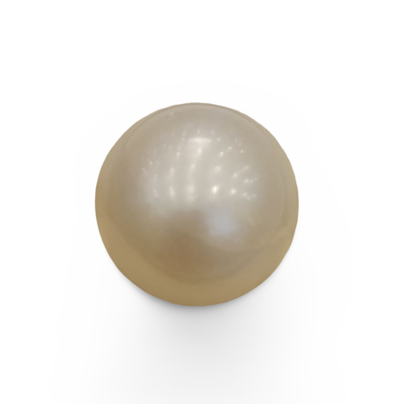 Natural South Sea Pearl – A Symbol of Elegance & Purity Summary No IGCDKBAJ42609