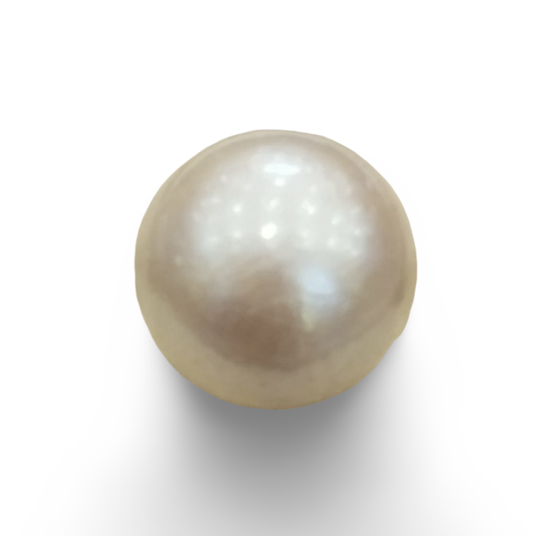 Natural South Sea Pearl – A Symbol of Elegance & Purity Summary No IGCDKBAJ48456