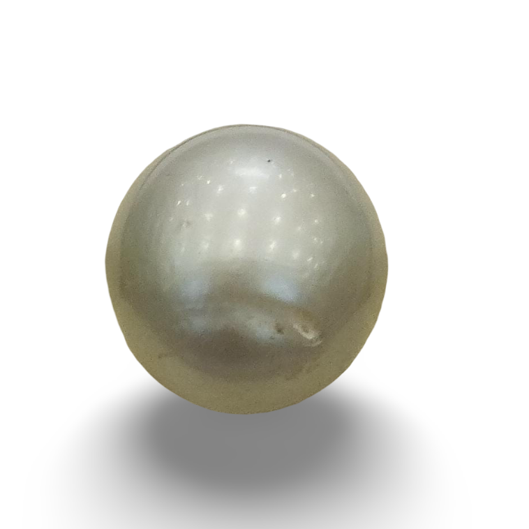 Natural South Sea Pearl – A Symbol of Elegance & Purity Summary No IGCDKBAJ42619