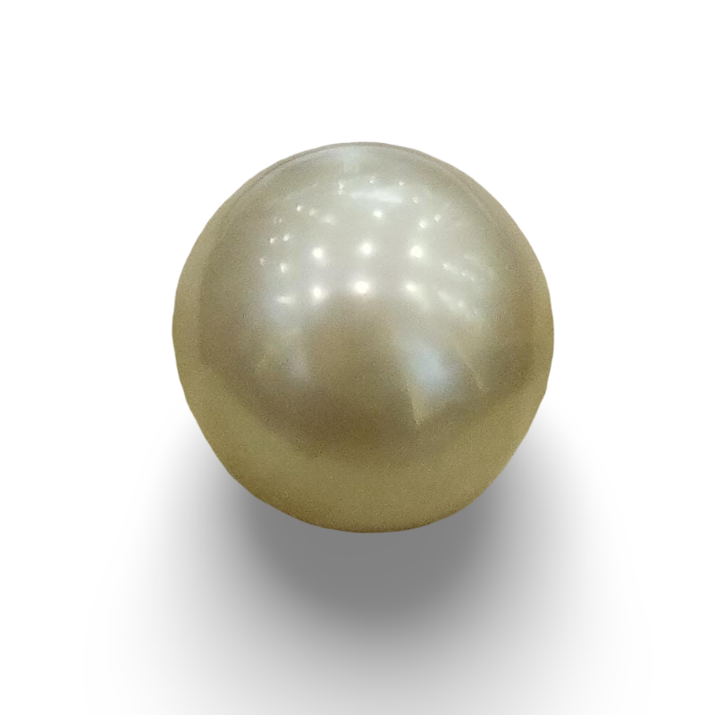 Natural South Sea Pearl – A Symbol of Elegance & Purity Summary No IGCDKBAJ42634