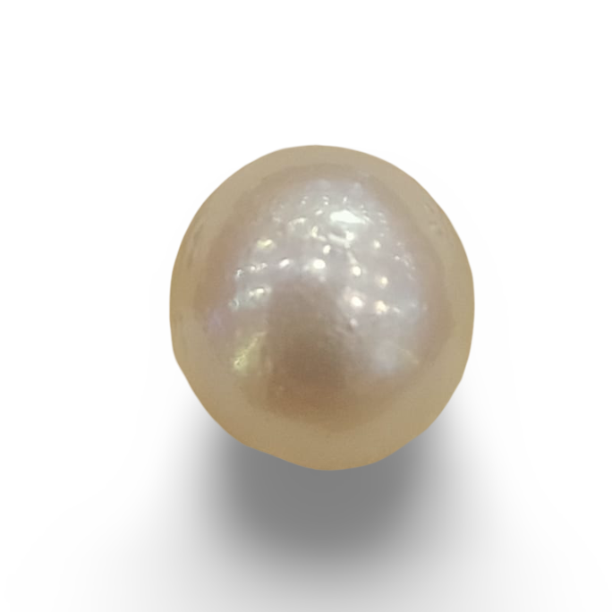 Natural South Sea Pearl – A Symbol of Elegance & Purity Summary No IGCDKBAJ42605