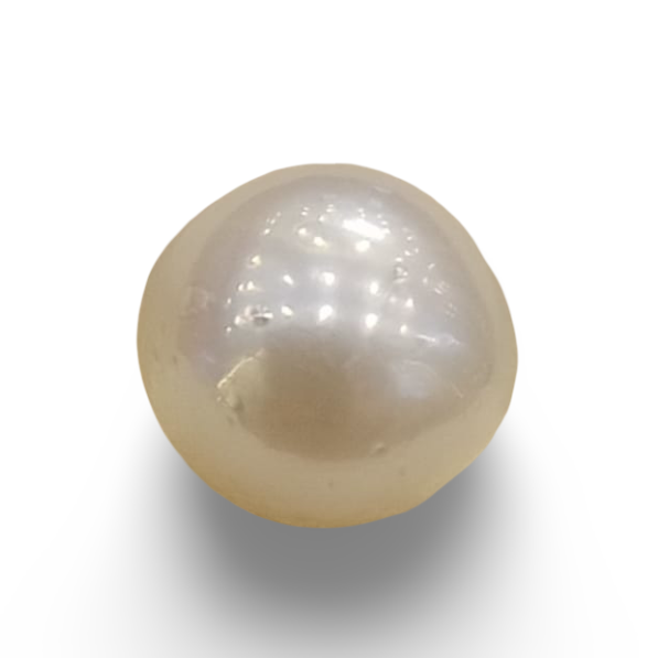 Natural South Sea Pearl – A Symbol of Elegance & Purity Summary No IGCDKBAJ42630