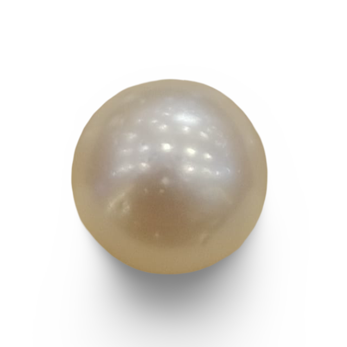 Natural South Sea Pearl – A Symbol of Elegance & Purity Summary No IGCDKBAJ42596
