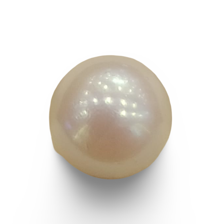Natural South Sea Pearl – A Symbol of Elegance & Purity Summary No IGCDKBAJ42601