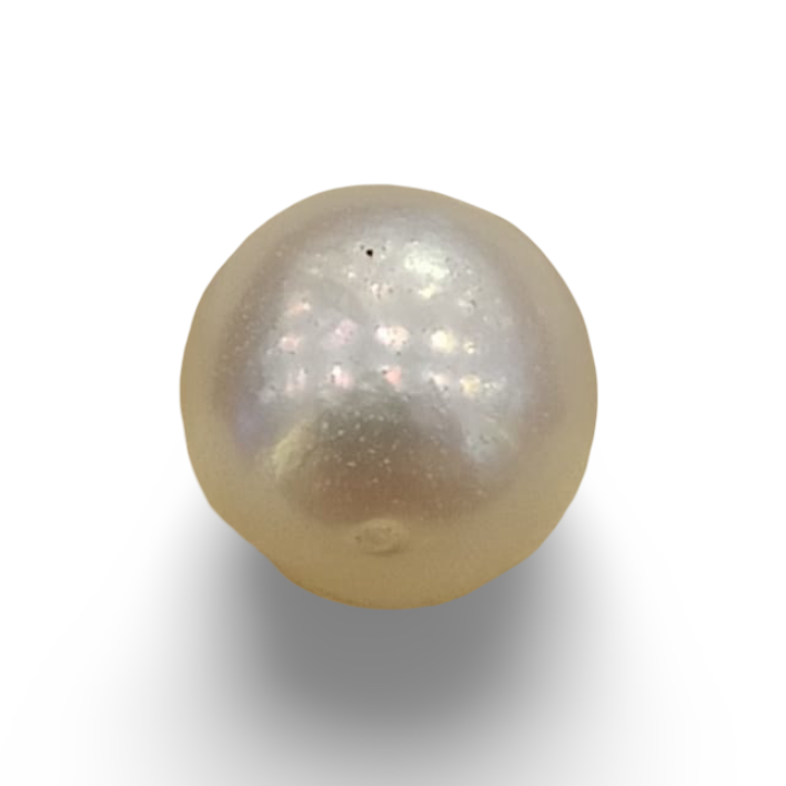 Natural South Sea Pearl – A Symbol of Elegance & Purity Summary No IGCDKBAJ42600