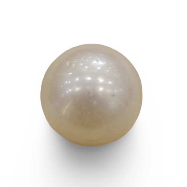 Natural South Sea Pearl – A Symbol of Elegance & Purity Summary No IGCDKBAJ42603
