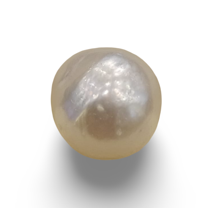 Natural South Sea Pearl – A Symbol of Elegance & Purity Summary No IGCDKBAJ42592