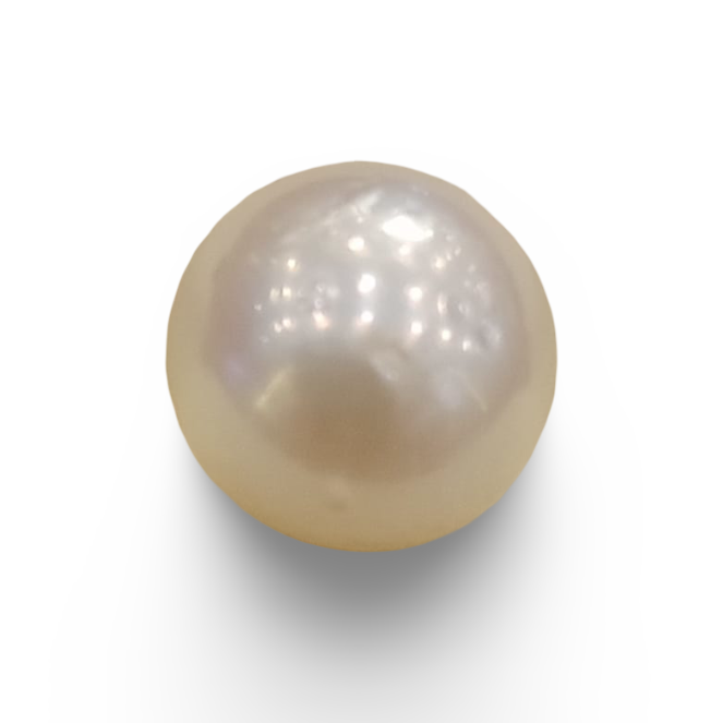 Natural South Sea Pearl – A Symbol of Elegance & Purity Summary No IGCDKBAJ42595