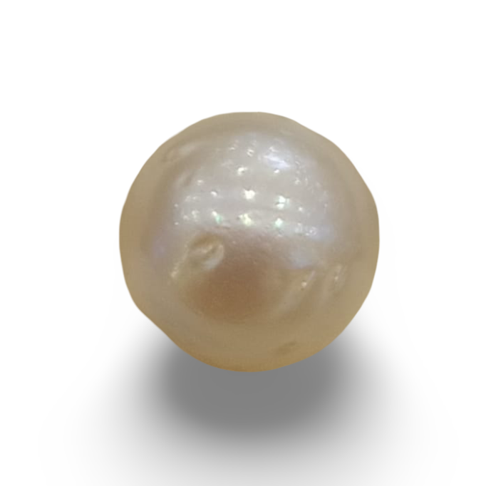 Natural South Sea Pearl – A Symbol of Elegance & Purity Summary No IGCDKBAJ42587