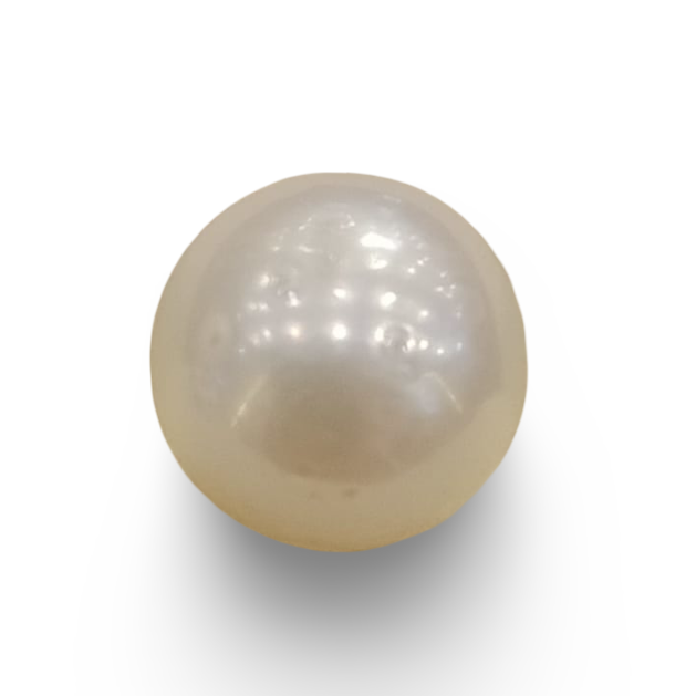 Natural South Sea Pearl – A Symbol of Elegance & Purity Summary No IGCDKBAJ42589