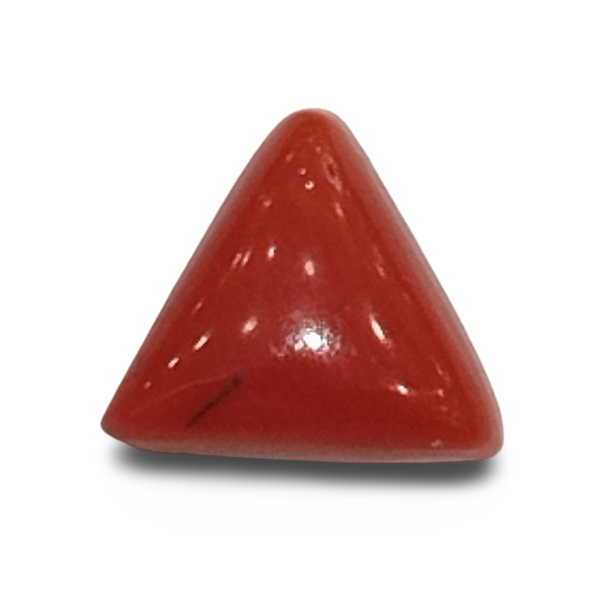 Natural Italian Red Coral |4H00| Certified Triangular Cabochon Moonga | Untreated Gemstone IGCDKBAJ42443