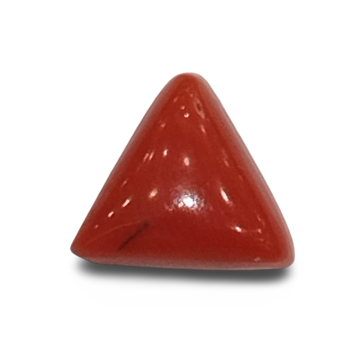 Natural Italian Red Coral |4H00| Certified Triangular Cabochon Moonga | Untreated Gemstone IGCDKBAJ42438