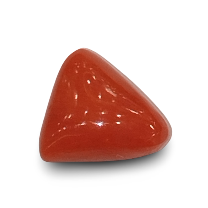 Natural Italian Red Coral |4H00| Certified Triangular Cabochon Moonga | Untreated Gemstone IGCDKBAJ42437
