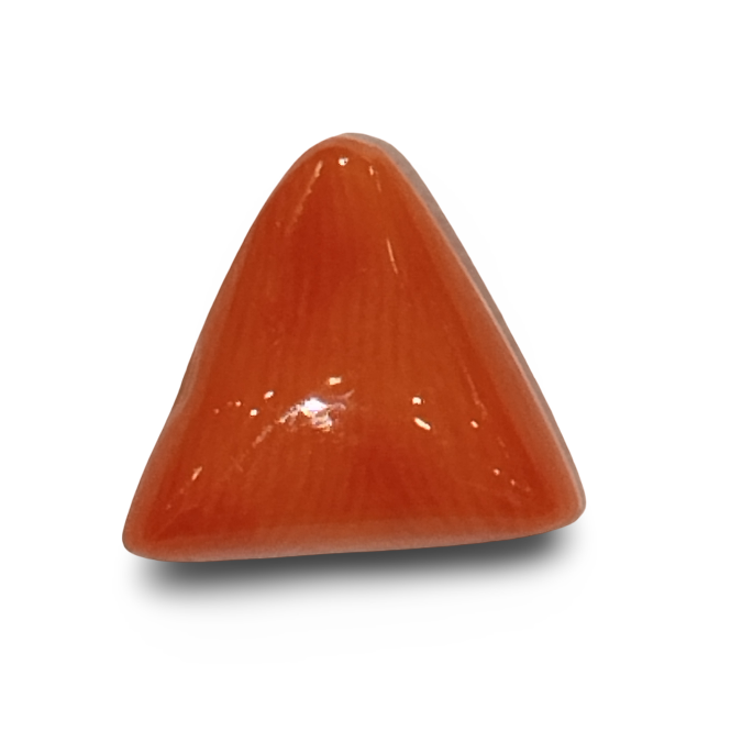 Natural Italian Red Coral |4H00| Certified Triangular Cabochon Moonga | Untreated Gemstone IGCDKBAJ42416