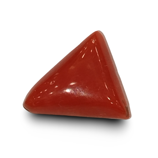 Natural Italian Red Coral |4H00| Certified Triangular Cabochon Moonga | Untreated Gemstone IGCDKBAJ42413