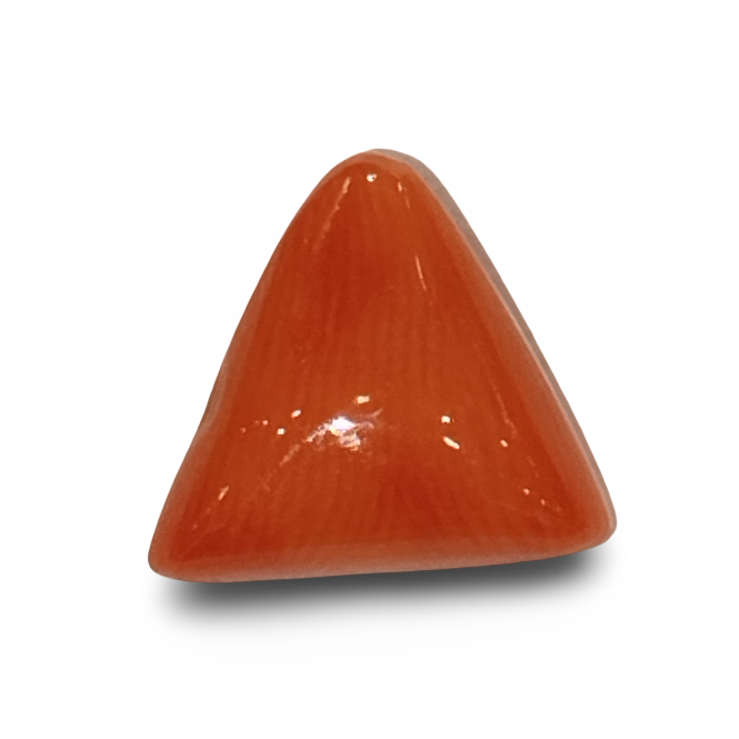 Natural Italian Red Coral |4H50| Certified Triangular Cabochon Moonga | Untreated Gemstone IGCDKBAJ42454