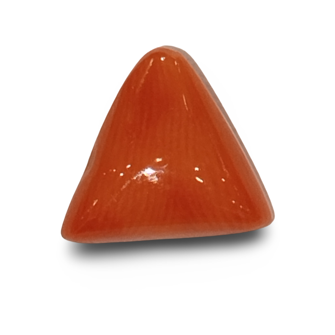 Natural Italian Red Coral |7H50| Certified Triangular Cabochon Moonga | Untreated Gemstone IGCDKBAJ42466