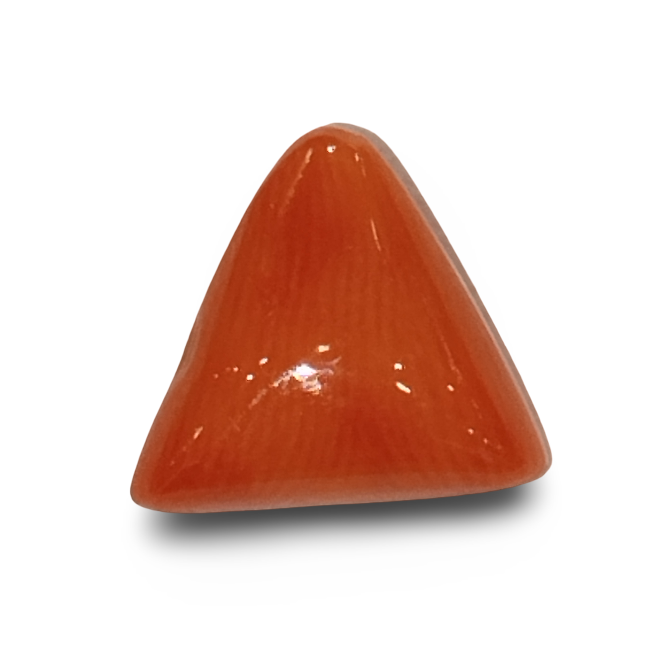 Natural Italian Red Coral |4H50| Certified Triangular Cabochon Moonga | Untreated Gemstone IGCDKBAJ42365