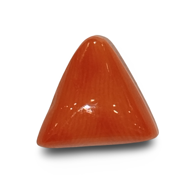 Natural Italian Red Coral |4H00| Certified Triangular Cabochon Moonga | Untreated Gemstone IGCDKBAJ42364