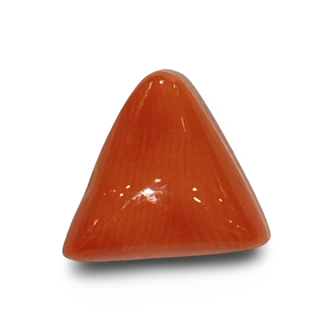 Natural Italian Red Coral |4H50| Certified Triangular Cabochon Moonga | Untreated Gemstone IGCDKBAJ42405