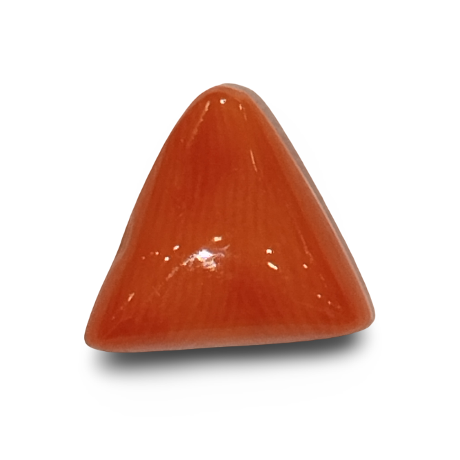 Natural Italian Red Coral |4H50| Certified Triangular Cabochon Moonga | Untreated Gemstone IGCDKBAJ42404