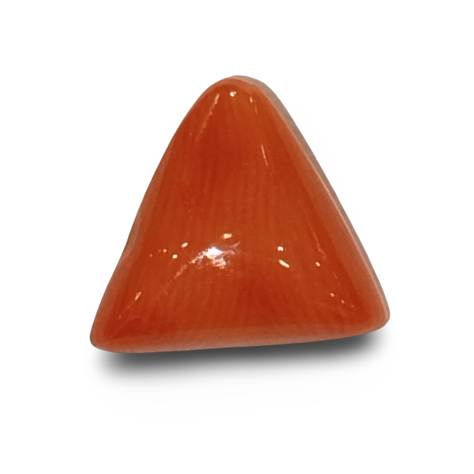 Natural Italian Red Coral |7H50| Certified Triangular Cabochon Moonga | Untreated Gemstone IGCDKBAJ42388