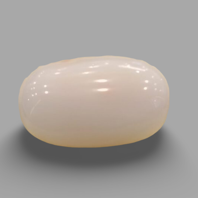 Natural White Coral: The Symbol of Peace and Strength Summary No IGCDKBAJ41489