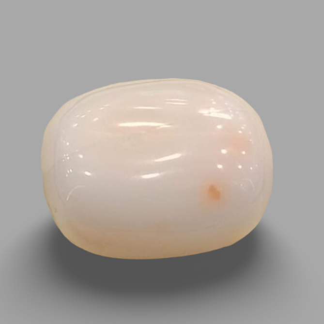Natural White Coral: The Symbol of Peace and Strength Summary No IGCDKBAJ41494