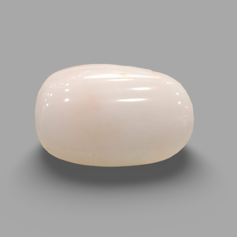 Natural White Coral: The Symbol of Peace and Strength Summary No IGCDKBAJ41531