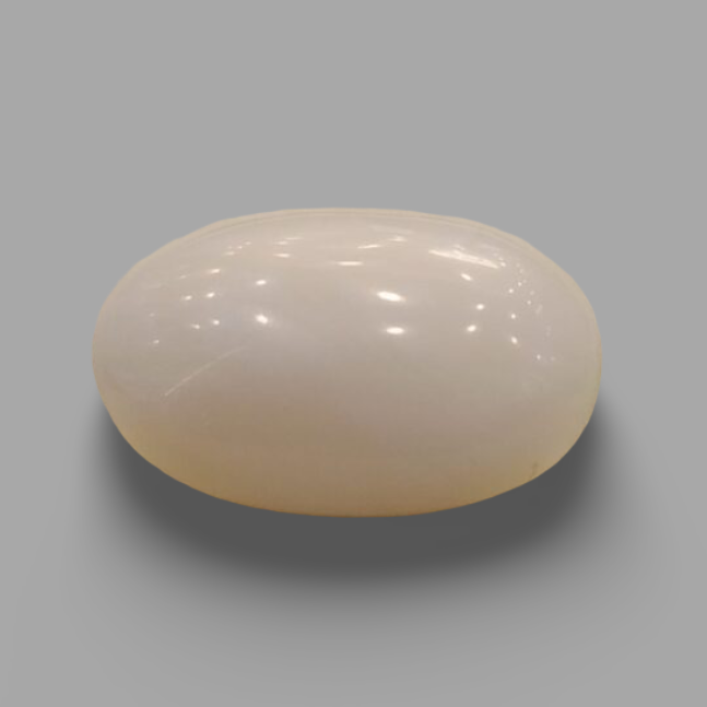 Natural White Coral: The Symbol of Peace and Strength Summary No IGCDKBAJ44681