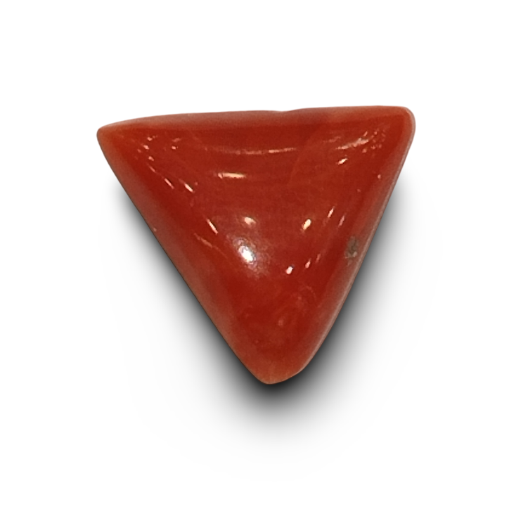 Natural Italian Red Coral |4H00| Certified Triangular Cabochon | Untreated Coral Gemstone Summary No. IGCDKBAJ42441