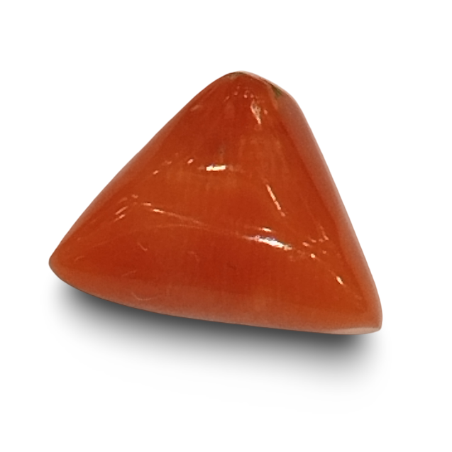 Natural Italian Red Coral |4H50| Certified Triangular Cabochon | Untreated Summary No. IGCDKBAJ42439