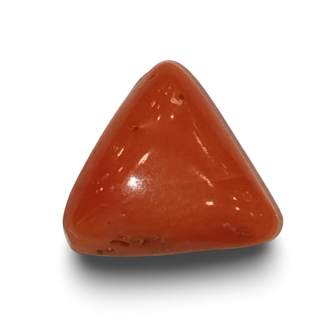 Natural Italian Red Coral |4H00| Certified Triangular Cabochon Gemstone IGC (Summary No. IGCDKBAJ42427)