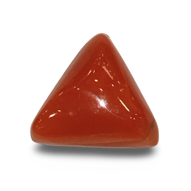 Natural Italian Red Coral |4H00| Certified Untreated | Triangular Cabochon No. IGCDKBAJ42417