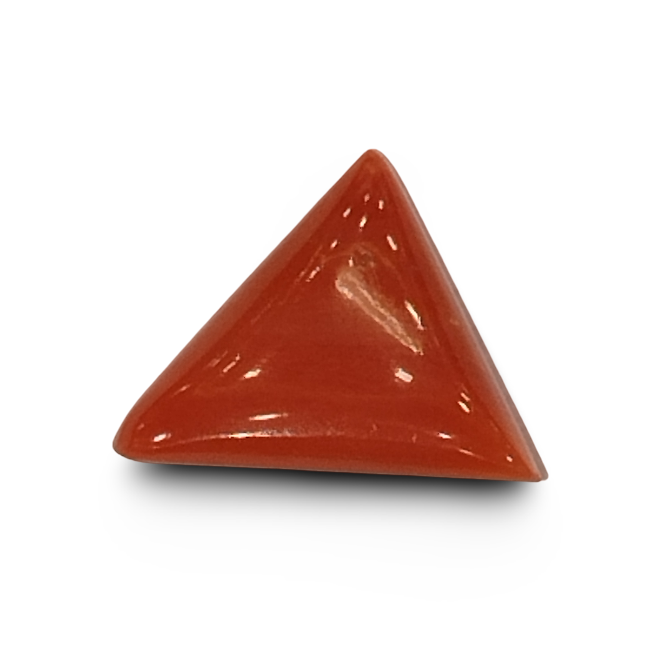 Natural Italian Red Coral |4H00| Certified Untreated | Triangular Cabochon No. IGCDKBAJ42431