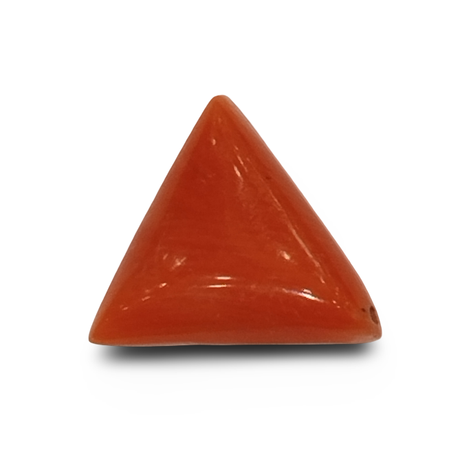 Natural Italian Red Coral |4H00| Certified Untreated | Triangular Cabochon No. IGCDKBAJ42434