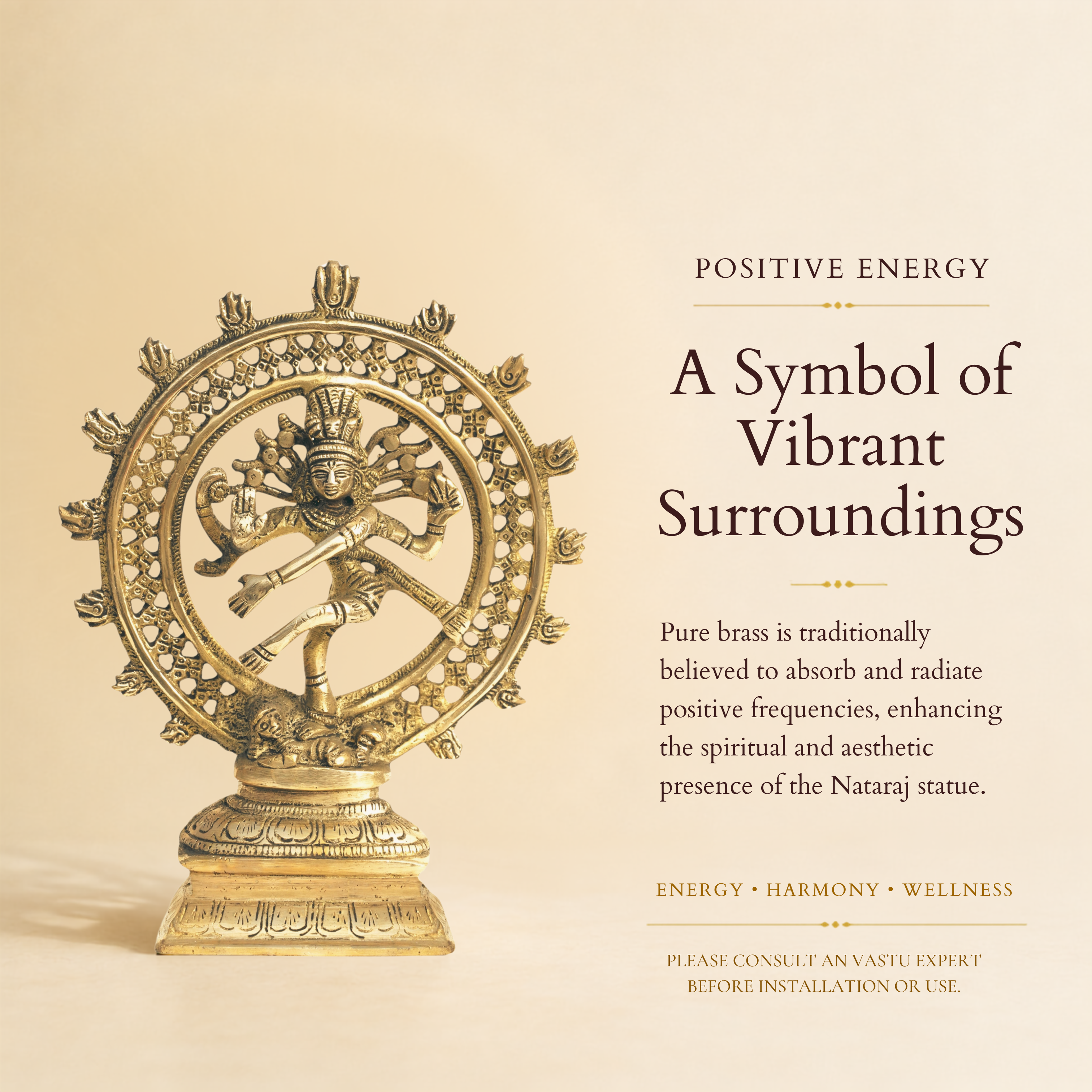 Destiny Star Stores BRASS NATRAJ JI