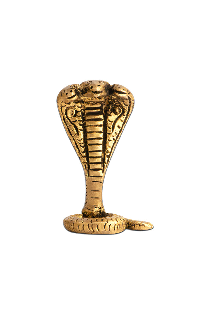 Destiny Star Stores BRASS SNAKE PACK OF 3