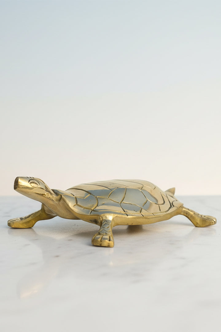 Destiny Star Stores BRASS HOLLOW BIG TURTLE