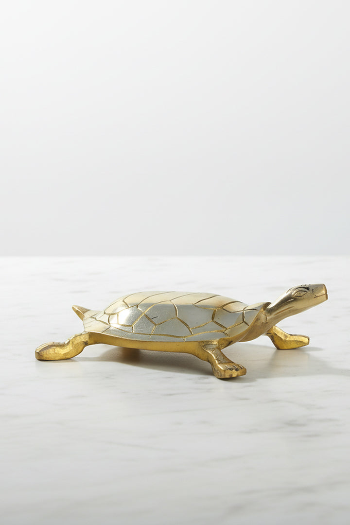 Destiny Star Stores BRASS HOLLOW BIG TURTLE
