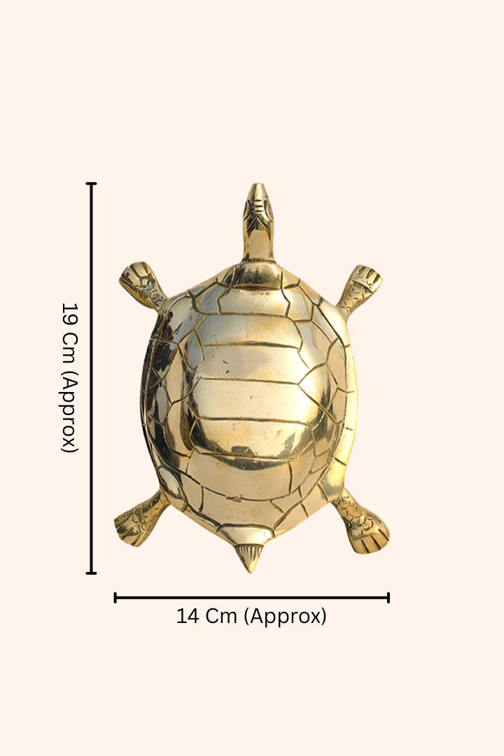 Destiny Star Stores BRASS HOLLOW BIG TURTLE
