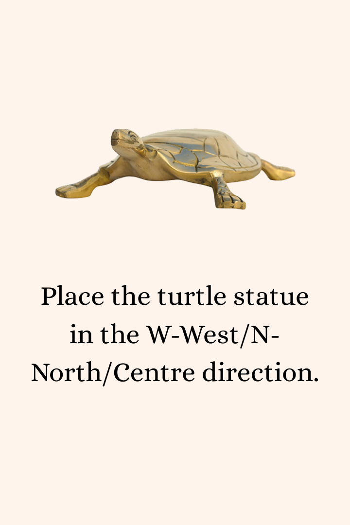 Destiny Star Stores BRASS HOLLOW BIG TURTLE