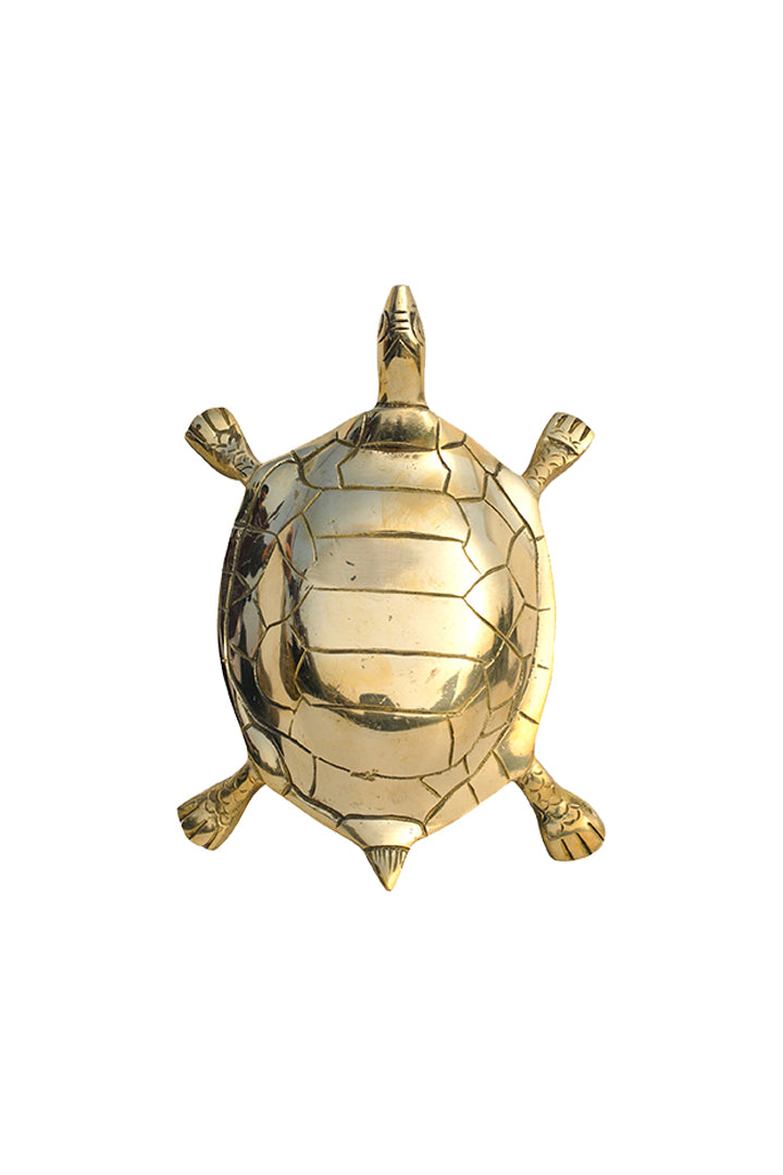 Destiny Star Stores BRASS HOLLOW BIG TURTLE