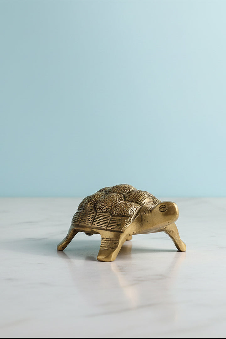 Destiny Star Stores BRASS HOLLOW SMALL TURTLE